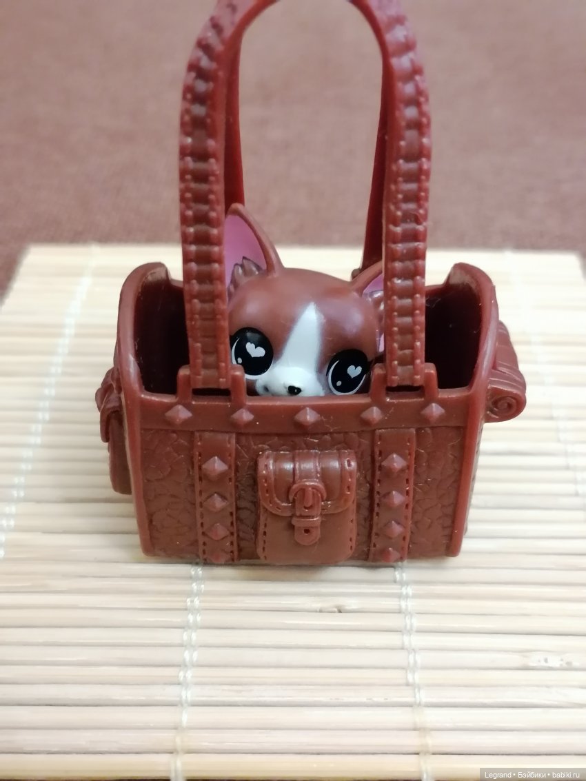 Санкт-Петербург: на Невском с Мокко🥰 (фото 3)