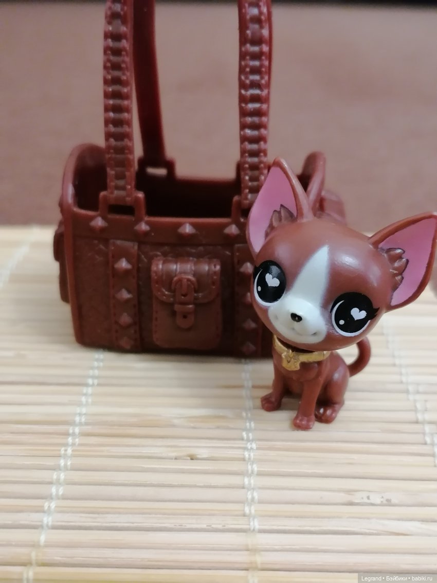 Санкт-Петербург: на Невском с Мокко🥰