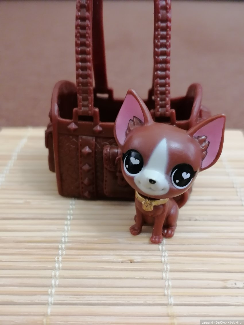 Санкт-Петербург: на Невском с Мокко🥰 (фото 2)