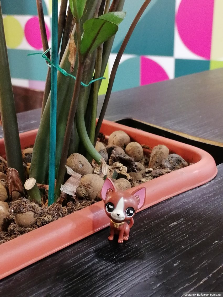 Санкт-Петербург: на Невском с Мокко🥰