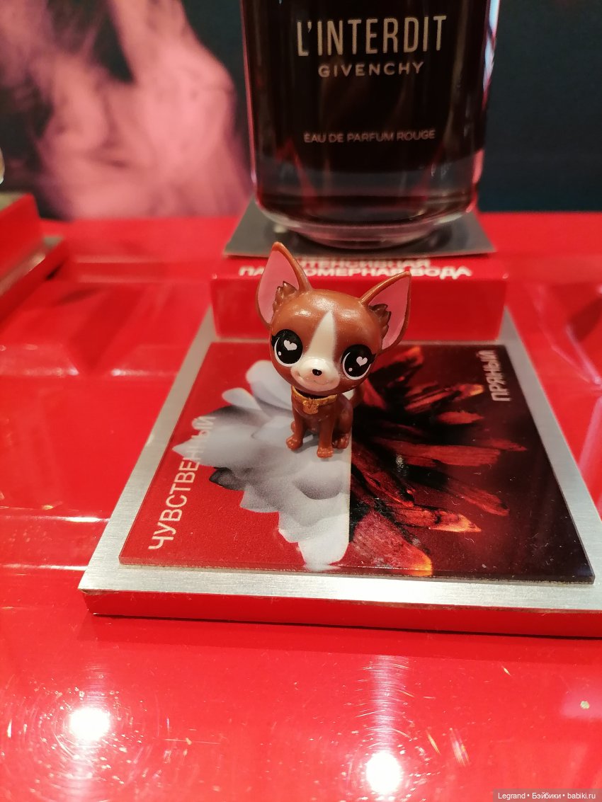 Санкт-Петербург: на Невском с Мокко🥰 (фото 9)