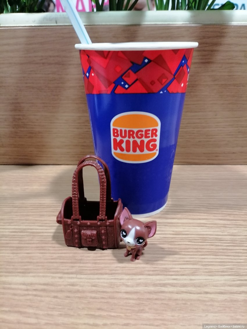 Санкт-Петербург: на Невском с Мокко🥰