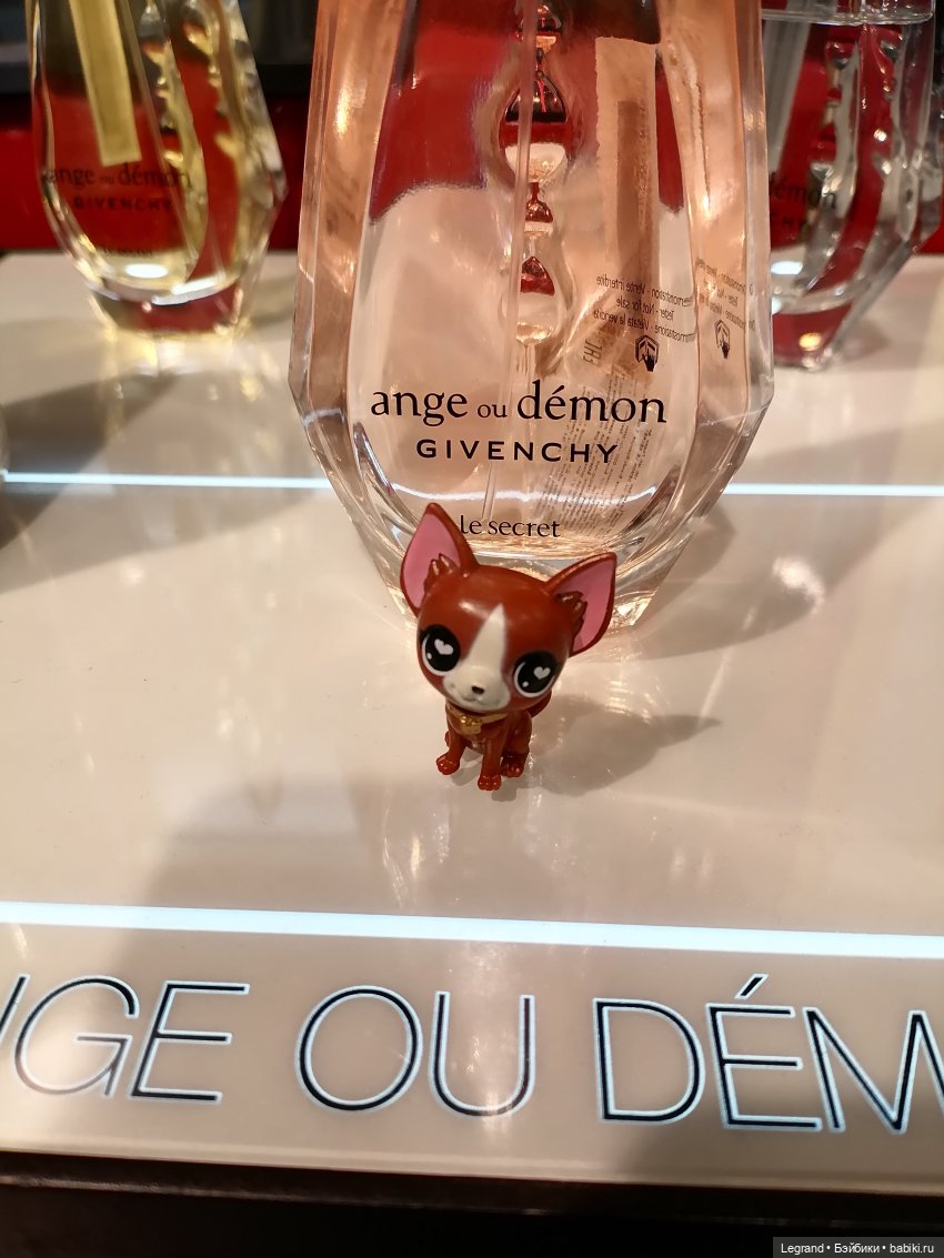 Санкт-Петербург: на Невском с Мокко🥰