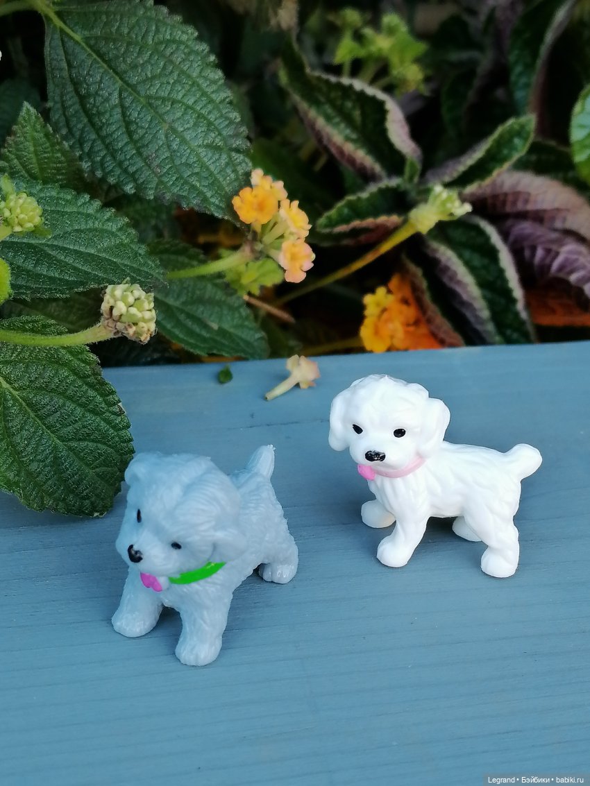 Лурения - Петербург: Берен в Парадном