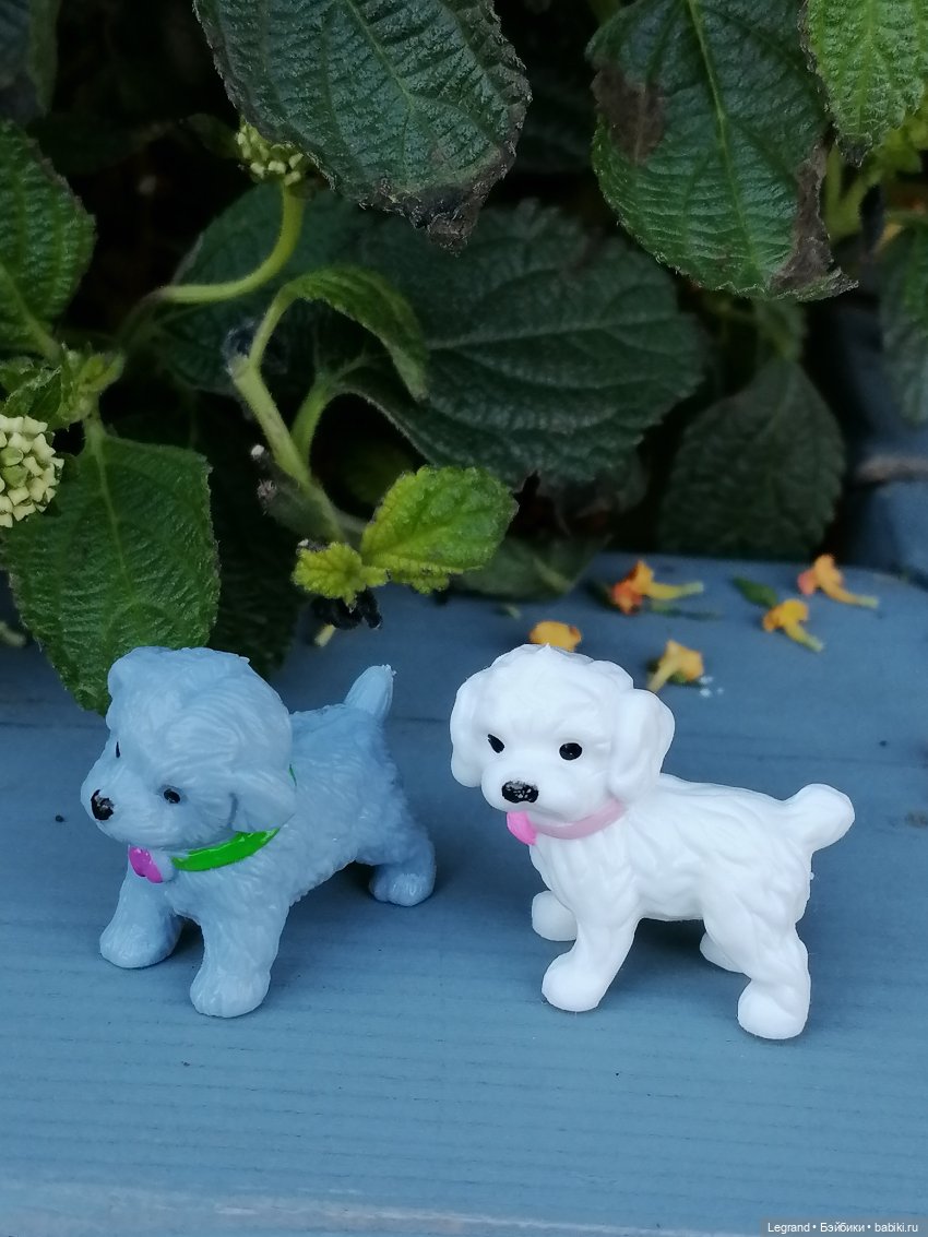 Лурения - Петербург: Берен в Парадном