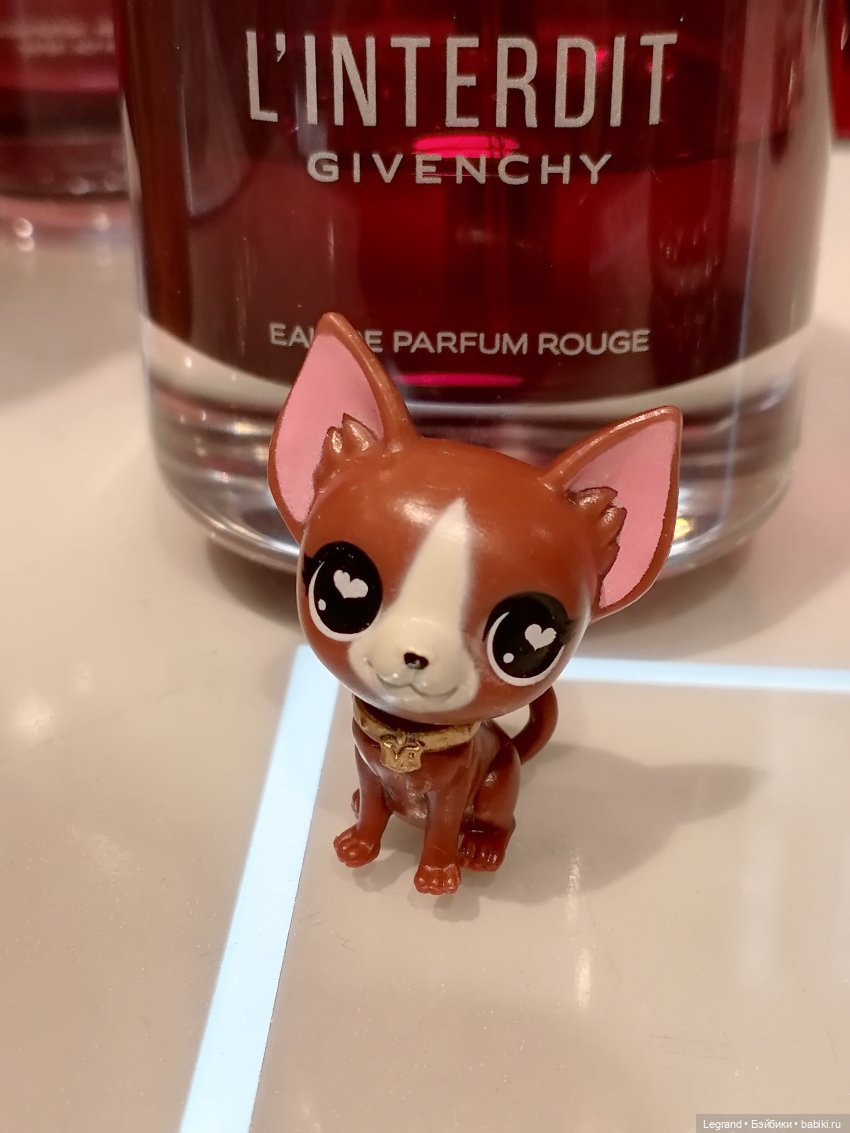 Санкт-Петербург: на Невском с Мокко🥰 (фото 6)