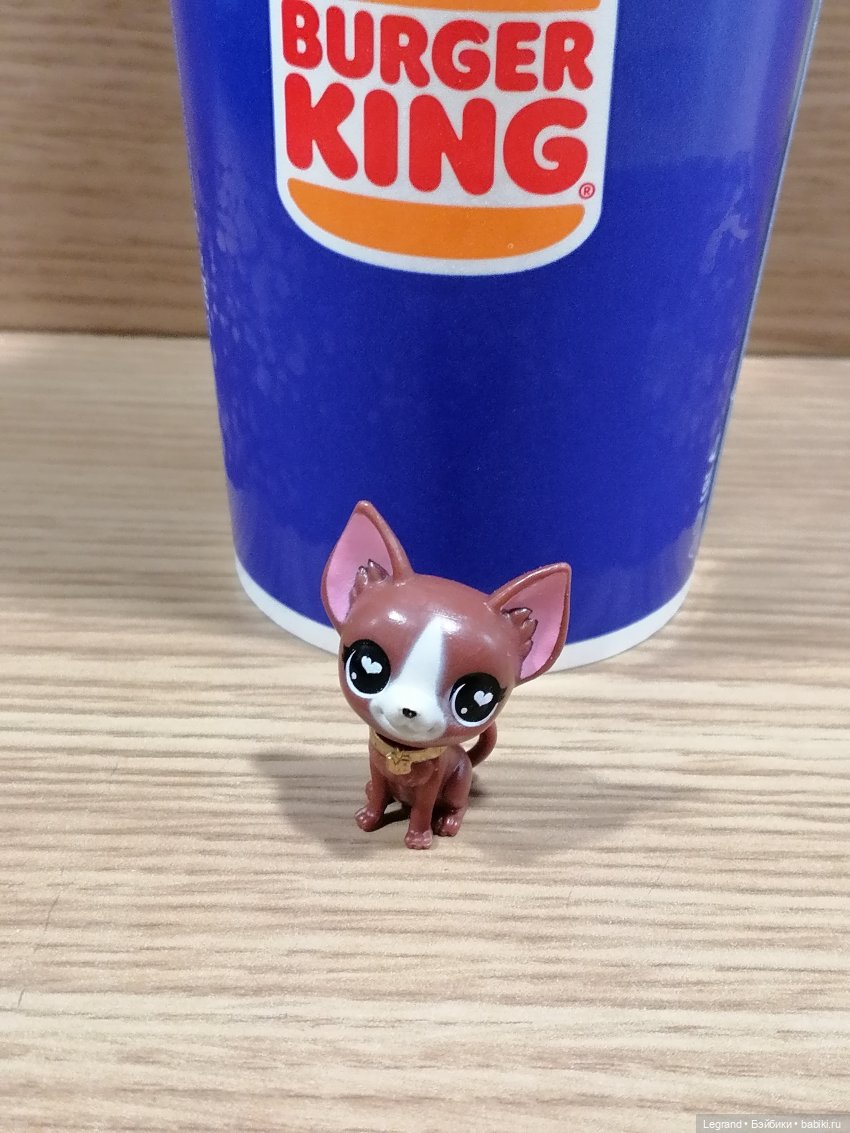 Санкт-Петербург: на Невском с Мокко🥰