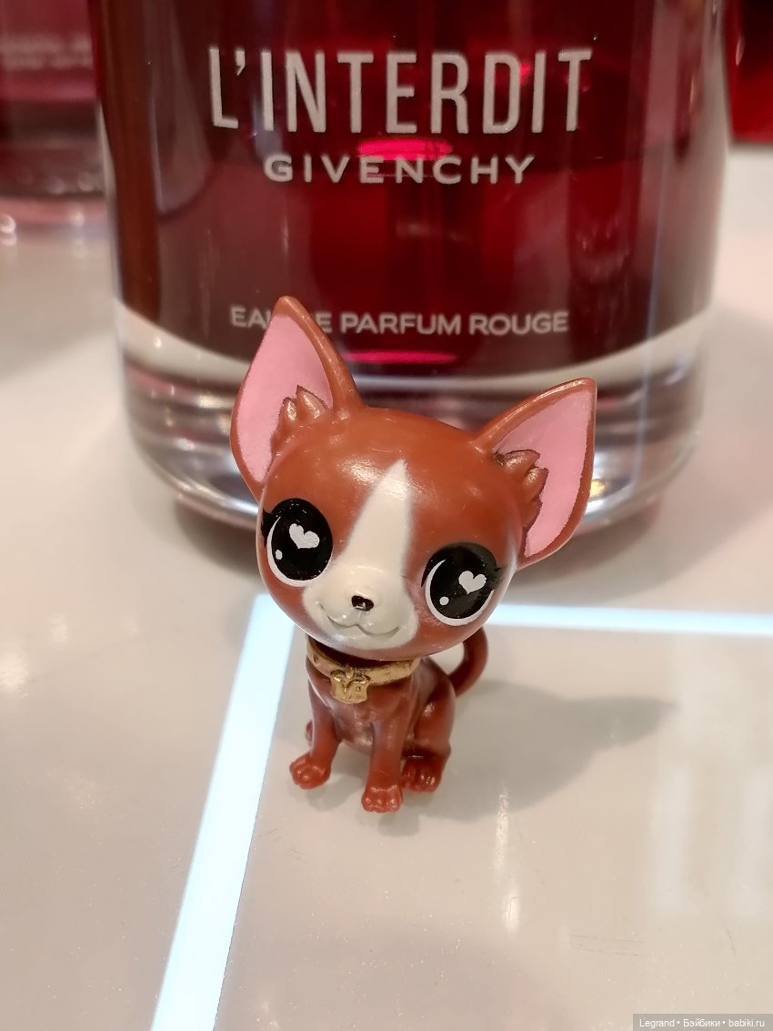 Санкт-Петербург: на Невском с Мокко🥰 (фото 10)