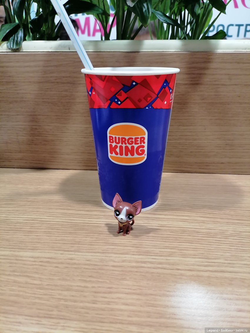 Санкт-Петербург: на Невском с Мокко🥰