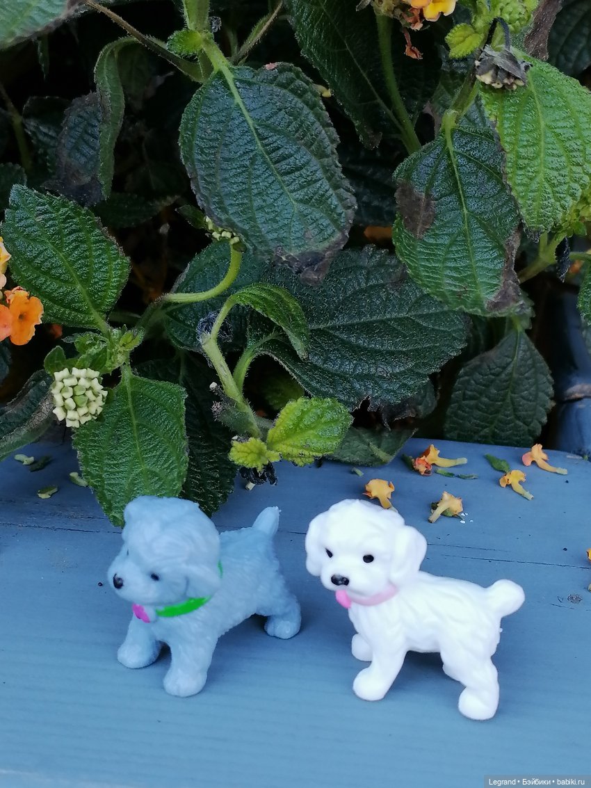 Лурения - Петербург: Берен в Парадном