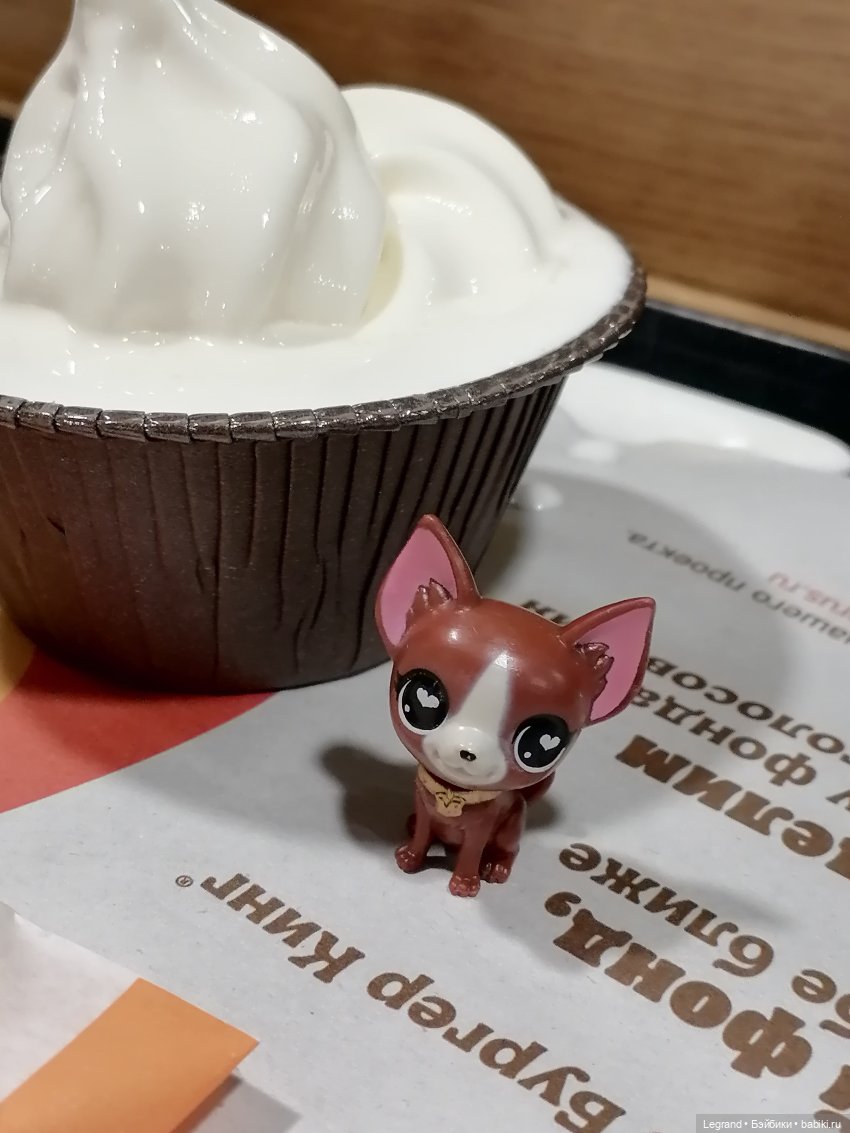 Санкт-Петербург: на Невском с Мокко🥰