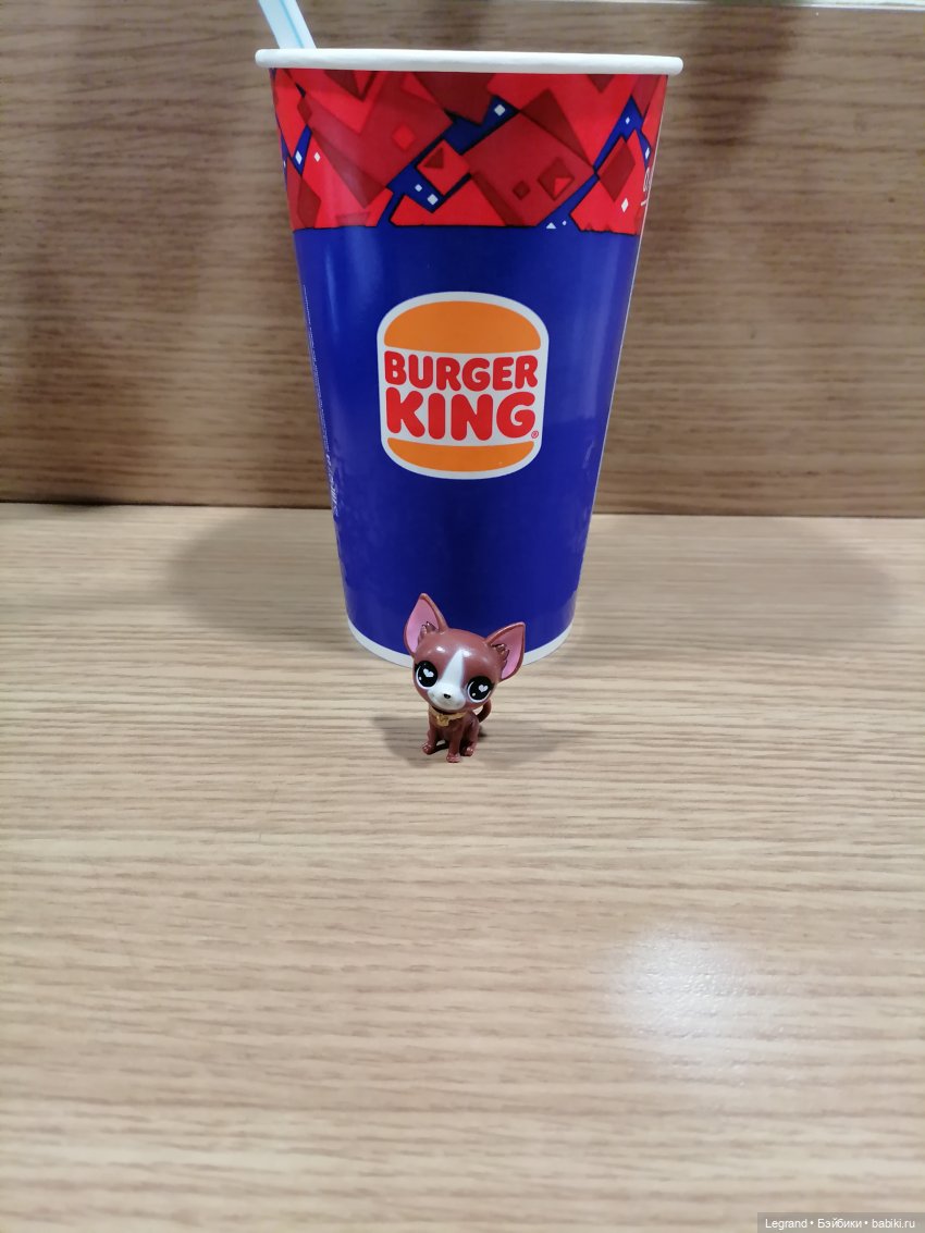 Санкт-Петербург: на Невском с Мокко🥰