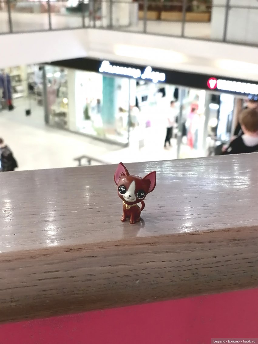 Санкт-Петербург: на Невском с Мокко🥰