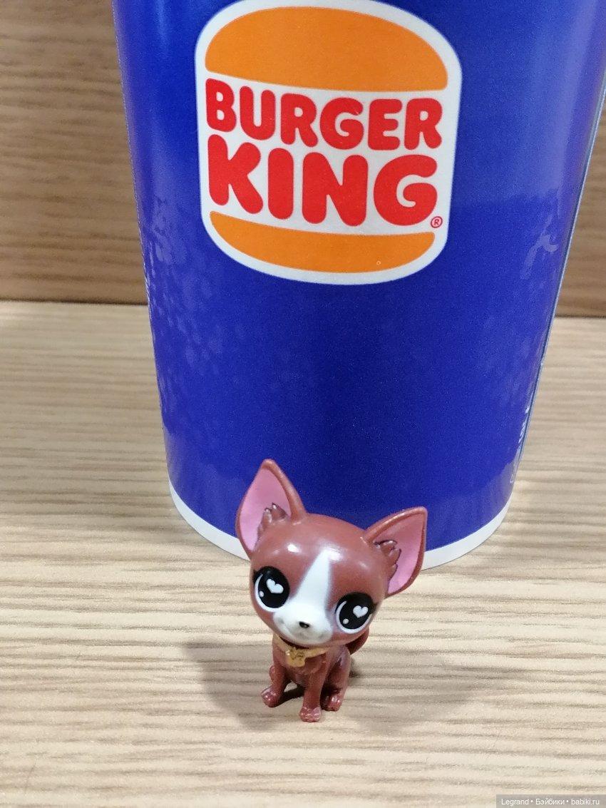 Санкт-Петербург: на Невском с Мокко🥰