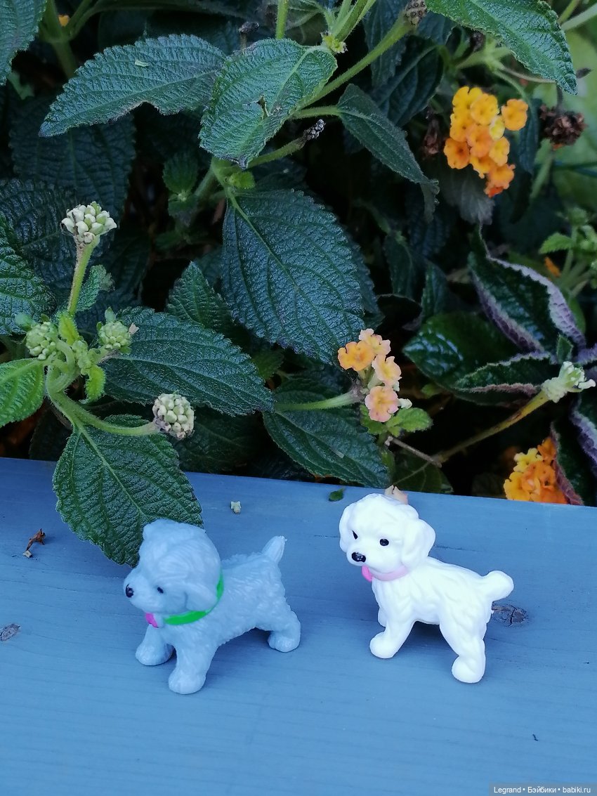 Лурения - Петербург: Берен в Парадном