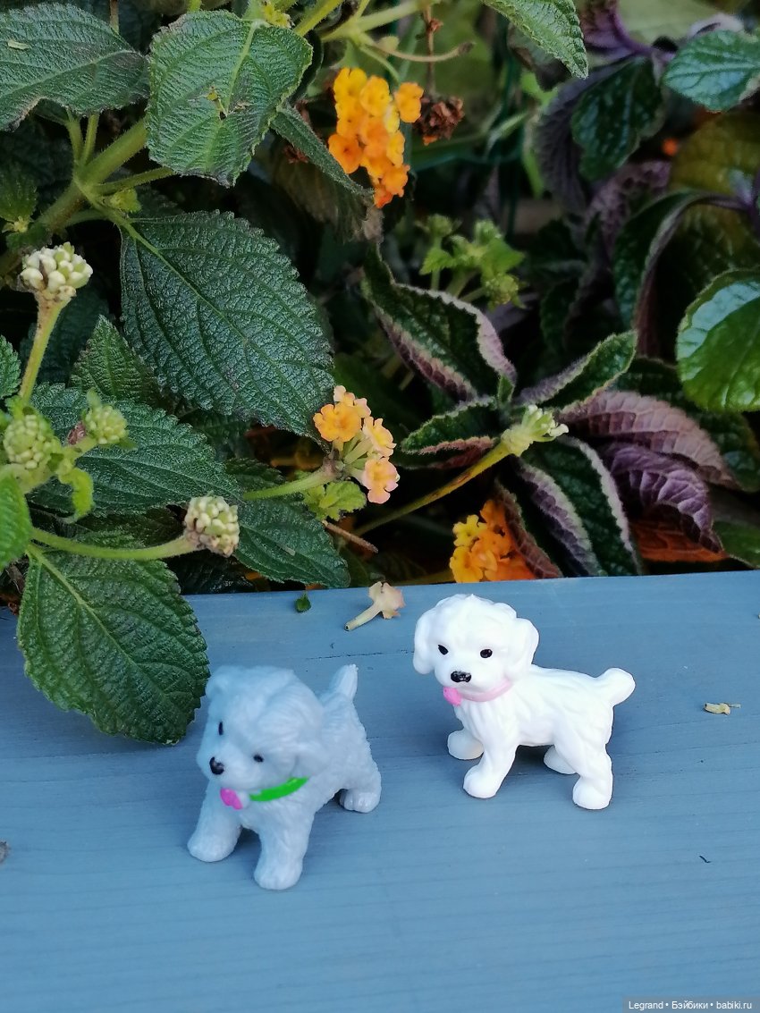 Лурения - Петербург: Берен в Парадном