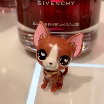 Санкт-Петербург: на Невском с Мокко🥰