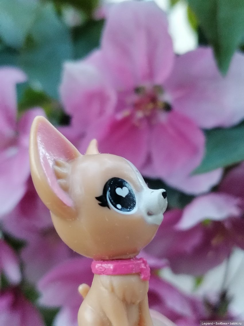 Ваниль и майское цветение (фото 9)