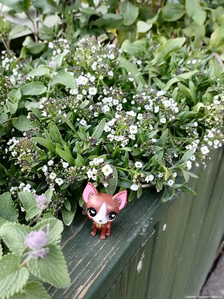 Санкт-Петербург: на Невском с Мокко - продолжение (фото 8)