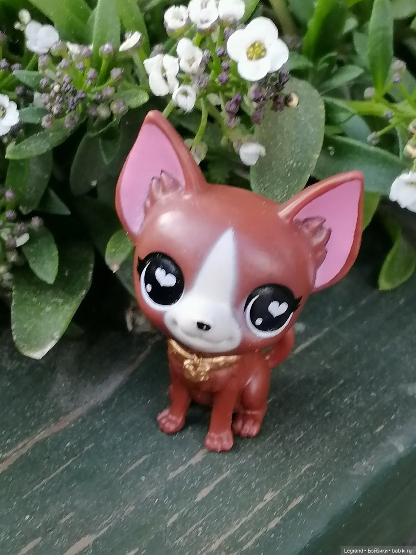 Санкт-Петербург: на Невском с Мокко - продолжение (фото 6)