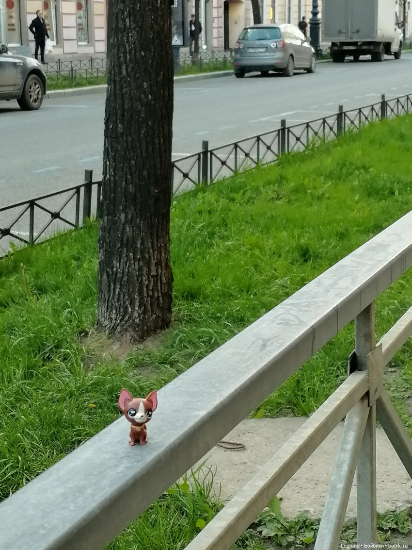 Санкт-Петербург: на Невском с Мокко - продолжение