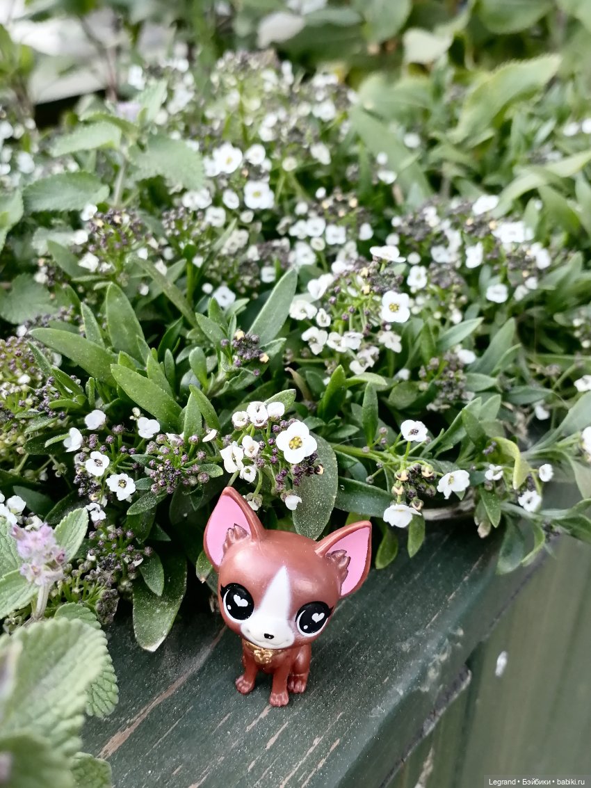 Санкт-Петербург: на Невском с Мокко - продолжение (фото 9)