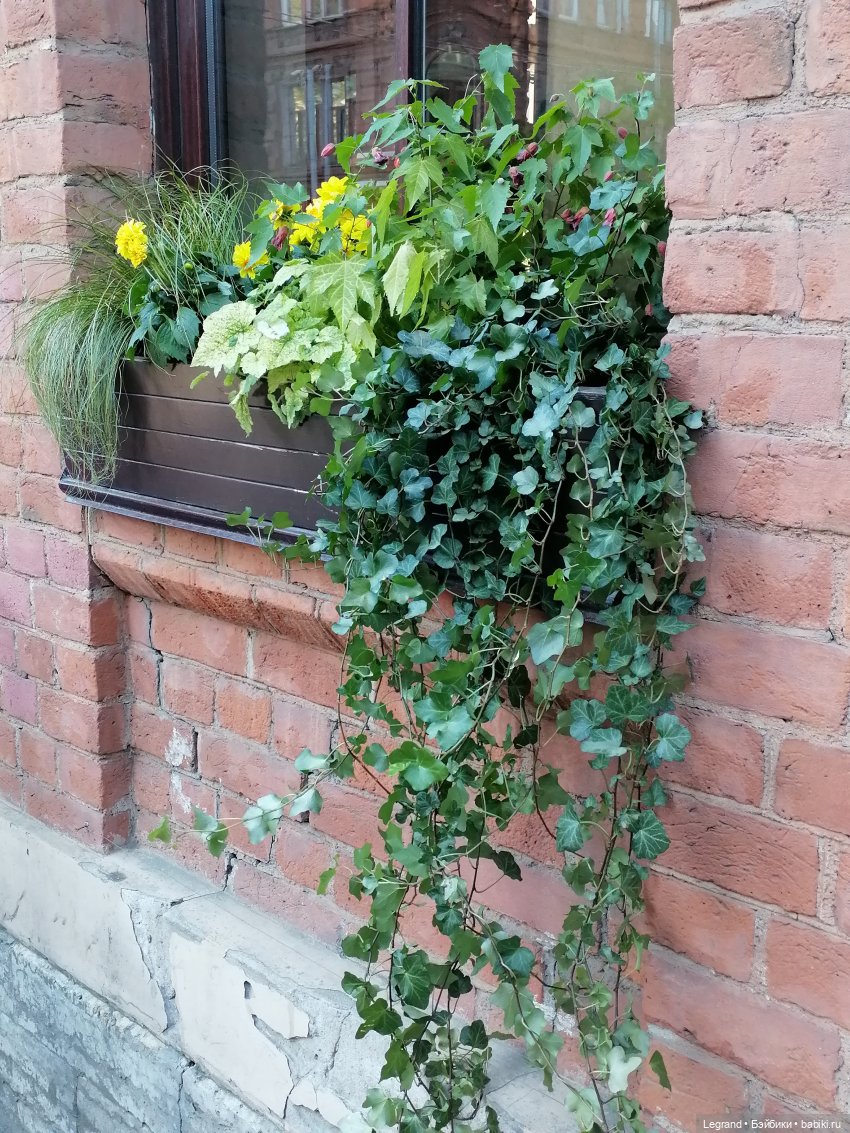 Ваниль и майское цветение