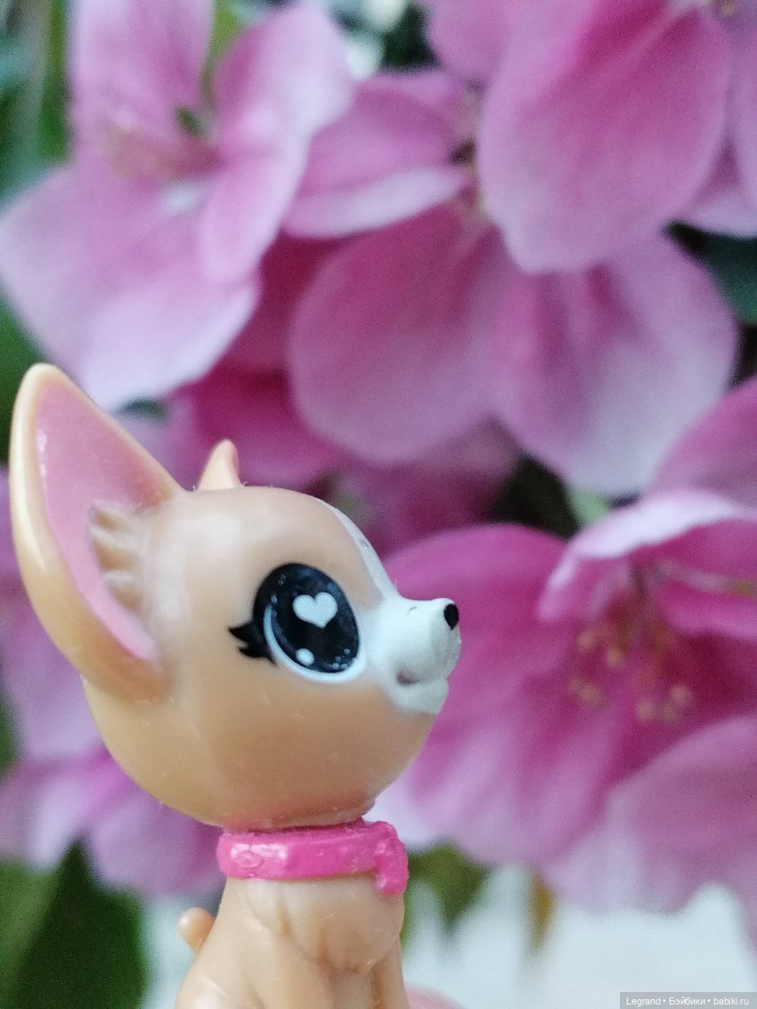 Ваниль и майское цветение (фото 8)