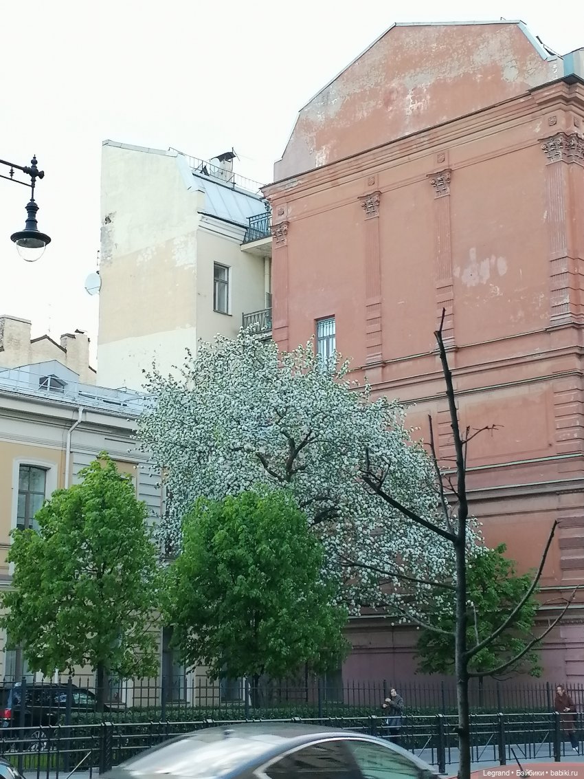 Санкт-Петербург: на Невском с Мокко - продолжение