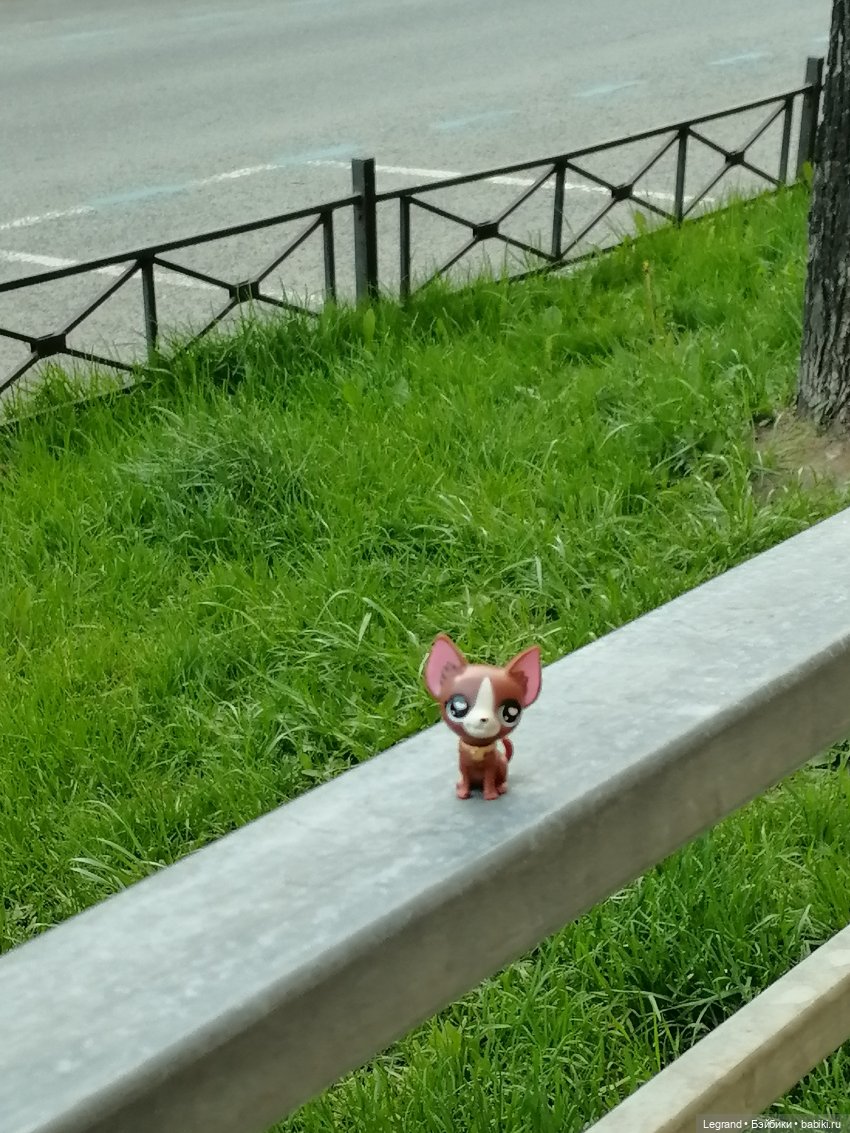 Санкт-Петербург: на Невском с Мокко - продолжение