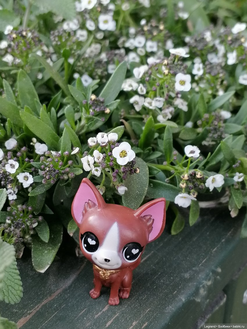 Санкт-Петербург: на Невском с Мокко - продолжение (фото 7)