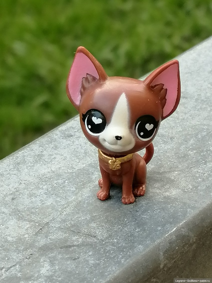 Санкт-Петербург: на Невском с Мокко - продолжение