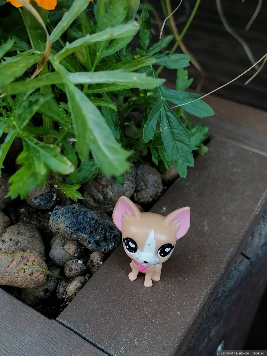 Ваниль и майское цветение