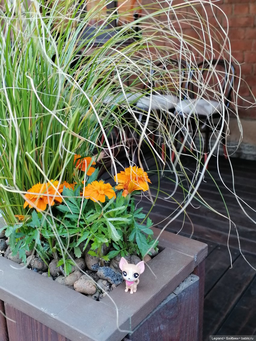 Ваниль и майское цветение