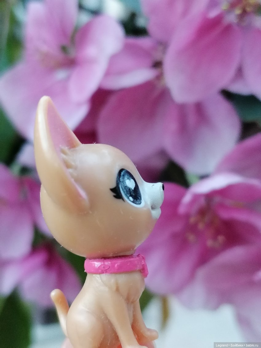 Ваниль и майское цветение (фото 7)