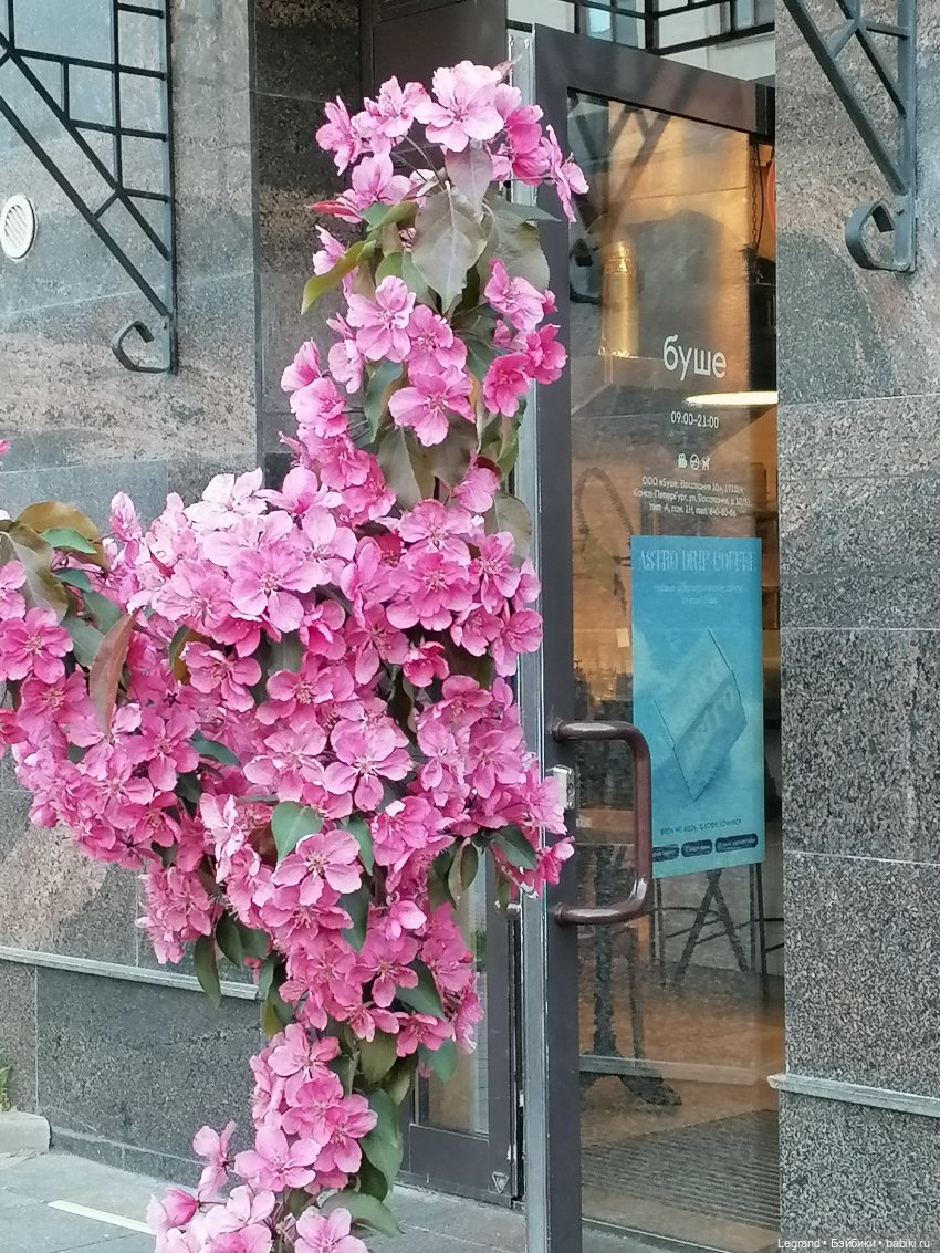 Ваниль и майское цветение