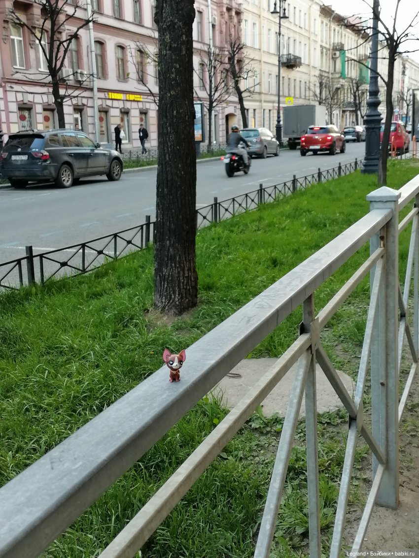 Санкт-Петербург: на Невском с Мокко - продолжение