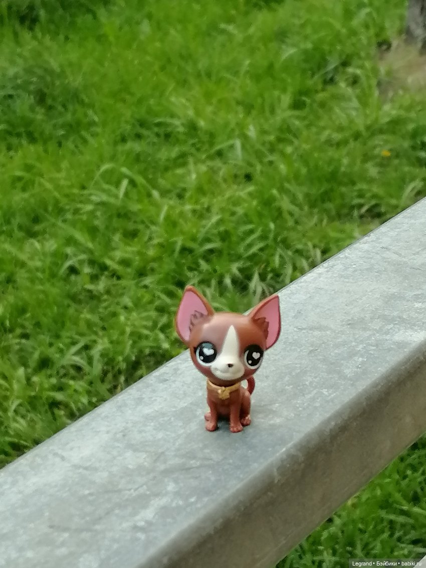 Санкт-Петербург: на Невском с Мокко - продолжение