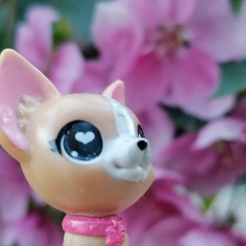 Ваниль и майское цветение