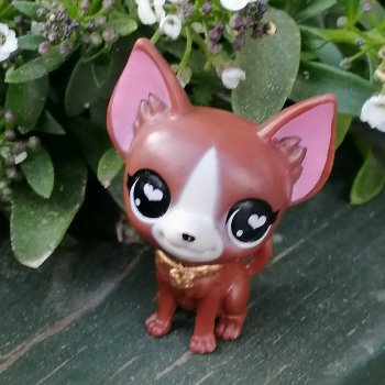 Санкт-Петербург: на Невском с Мокко - продолжение