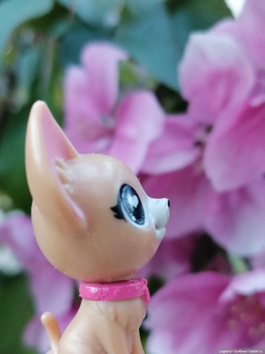 Ваниль и майское цветение (фото 6)