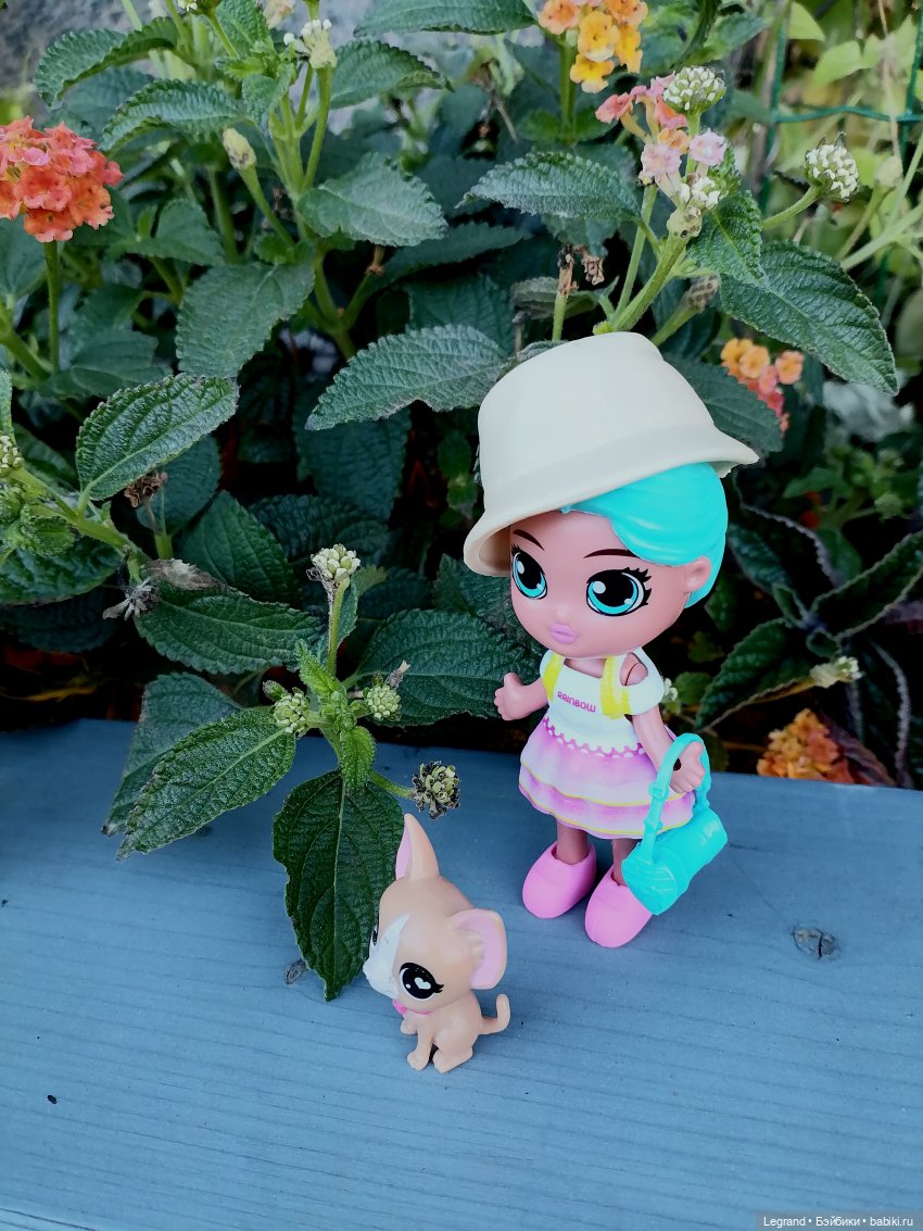 Лурения - Петербург: Джансу на прогулке