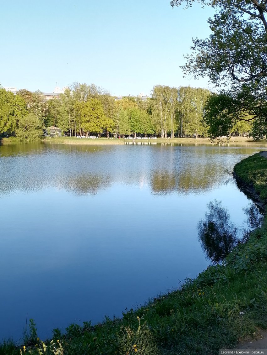 Лурения - Петербург: Джансу на прогулке