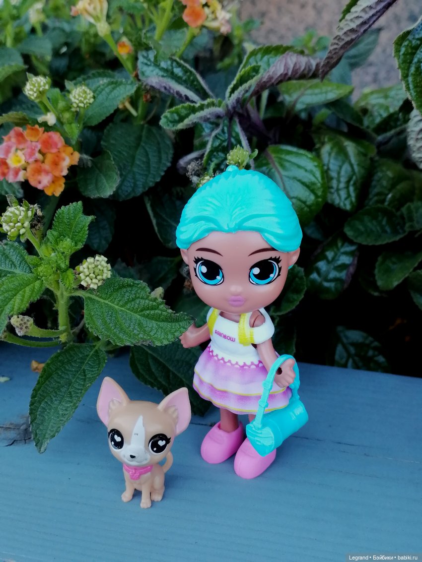 Лурения - Петербург: Джансу на прогулке