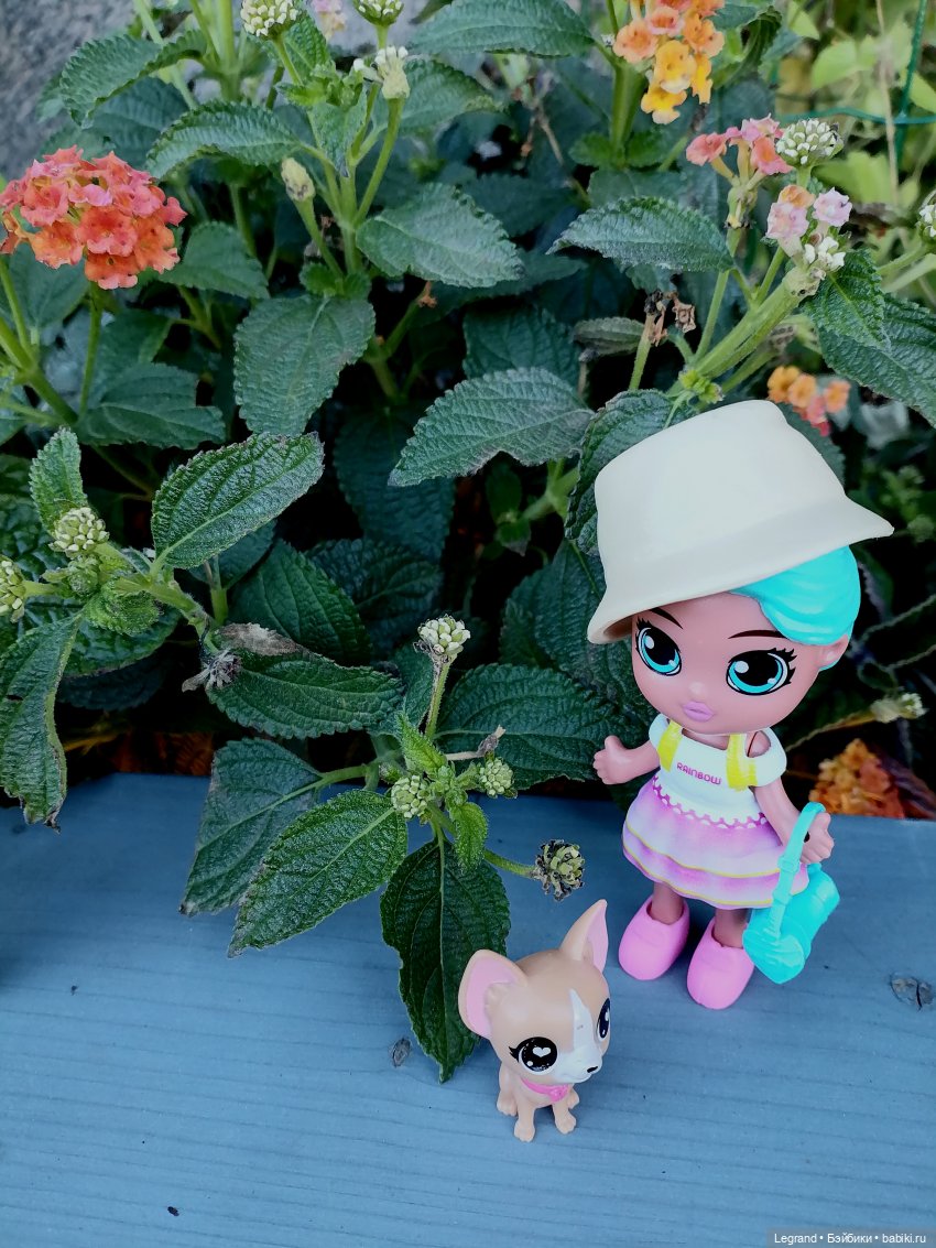 Лурения - Петербург: Джансу на прогулке