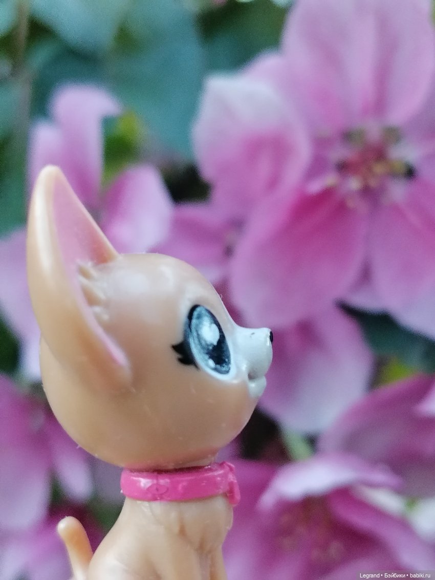 Ваниль и майское цветение (фото 10)