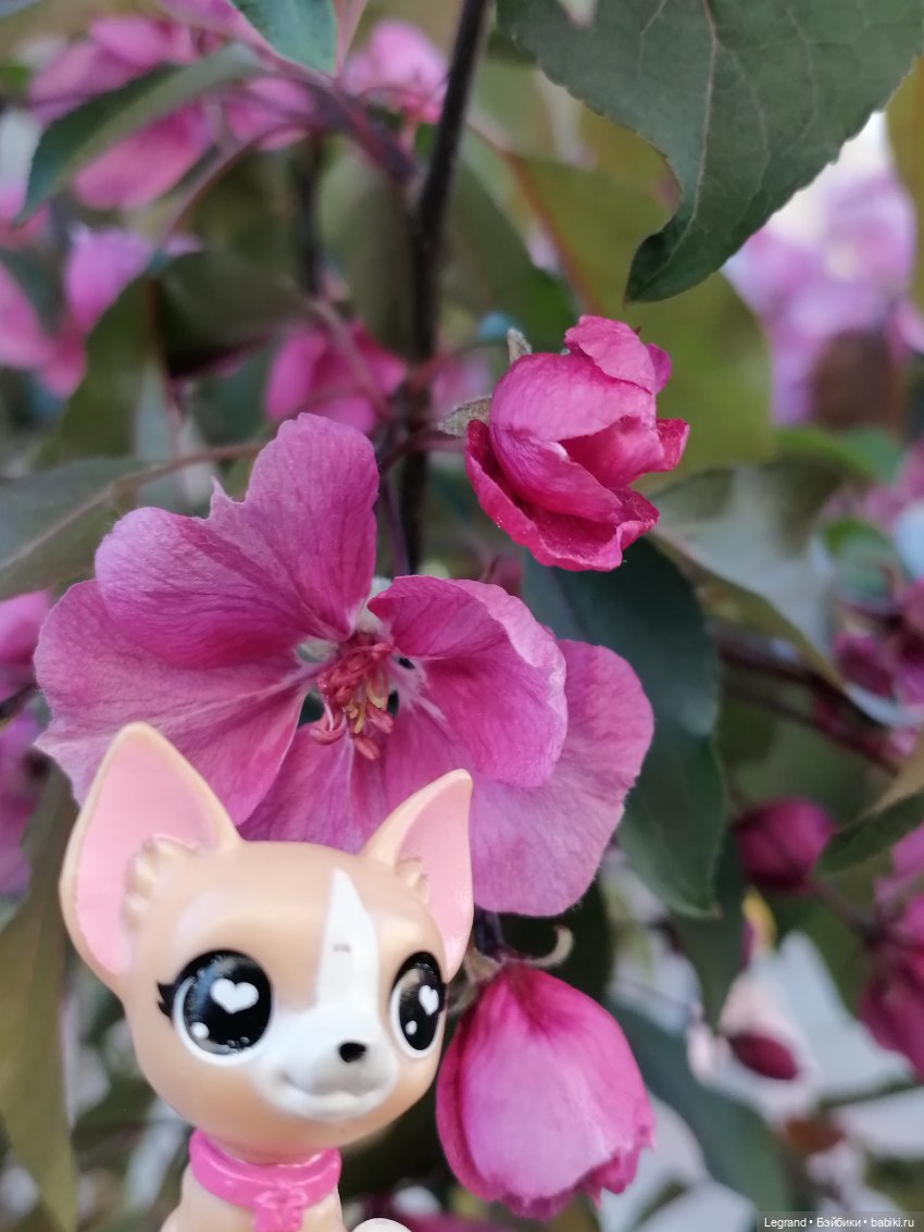 Ваниль и майское цветение