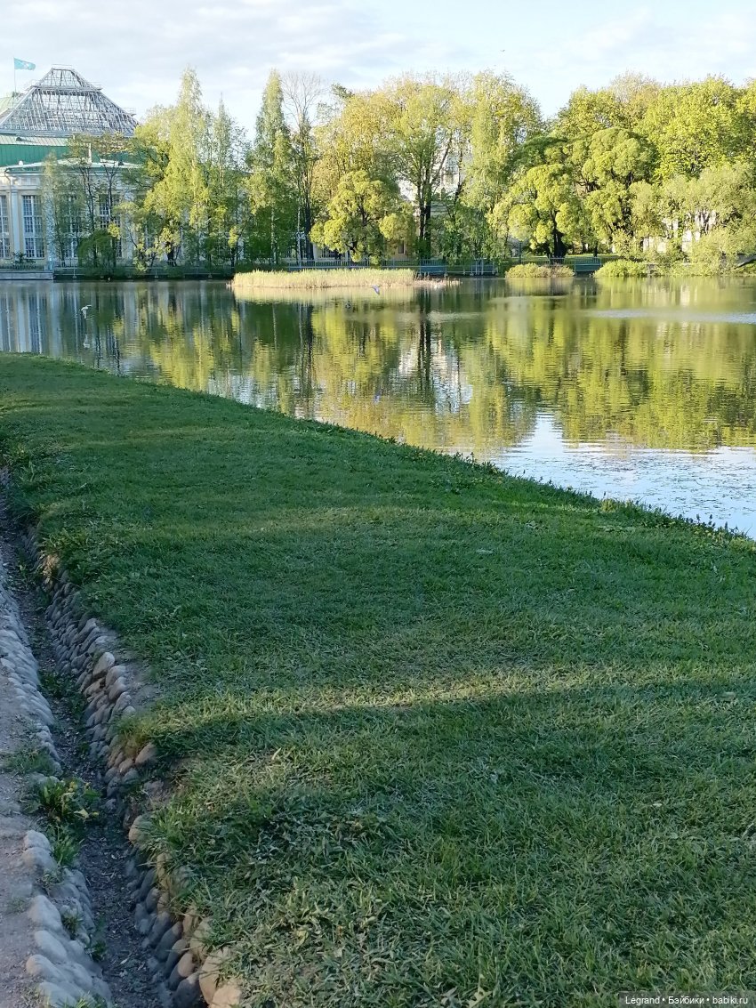 Лурения - Петербург: Джансу на прогулке