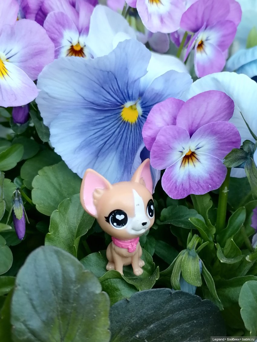 Ваниль и майское цветение