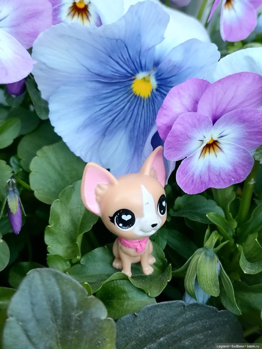 Ваниль и майское цветение